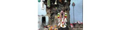 செங்காளிபாளையம்